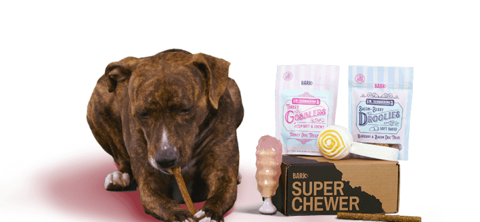 BarkBox Super Chewer Limited Edition Valentine’s Day Theme Still Available!