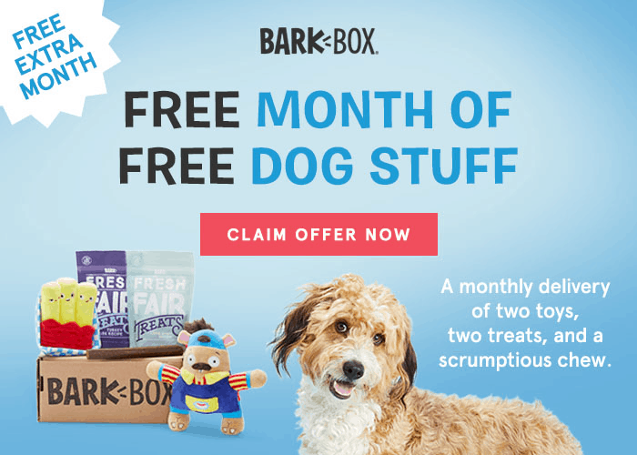 monthly barkbox