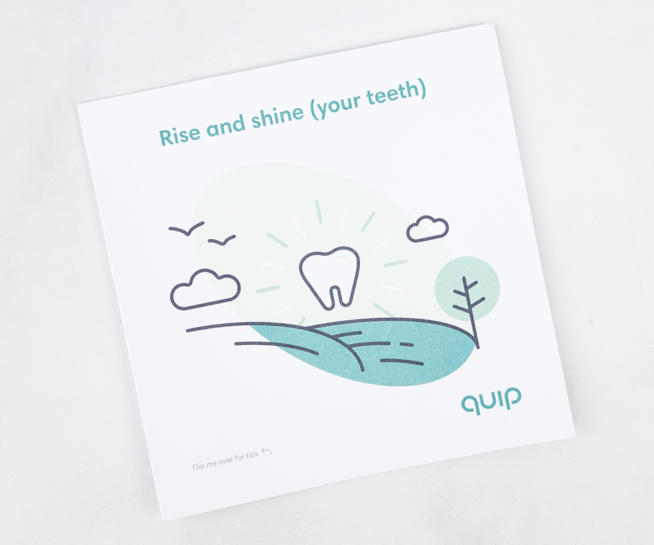 Quip Refill Pack Review Hello Subscription