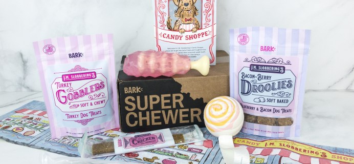 Super Chewer February 2019 Subscription Box Review