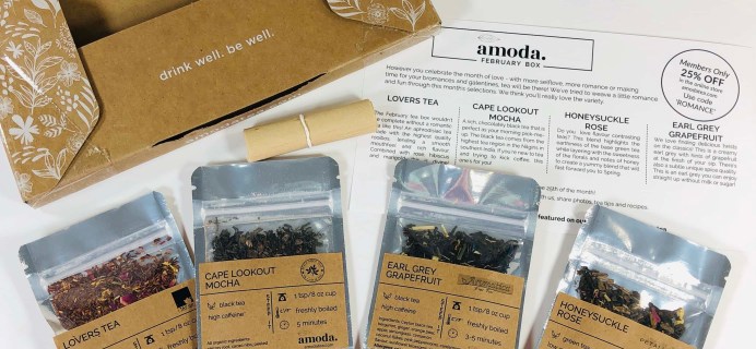 Amoda Tea February 2019 Subscription Box Review + Coupon!