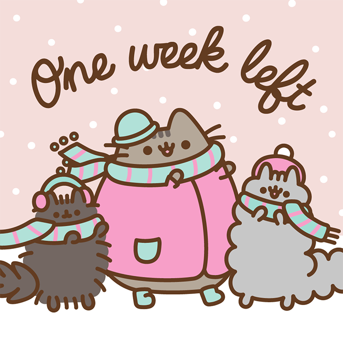 pusheen winter box 2021