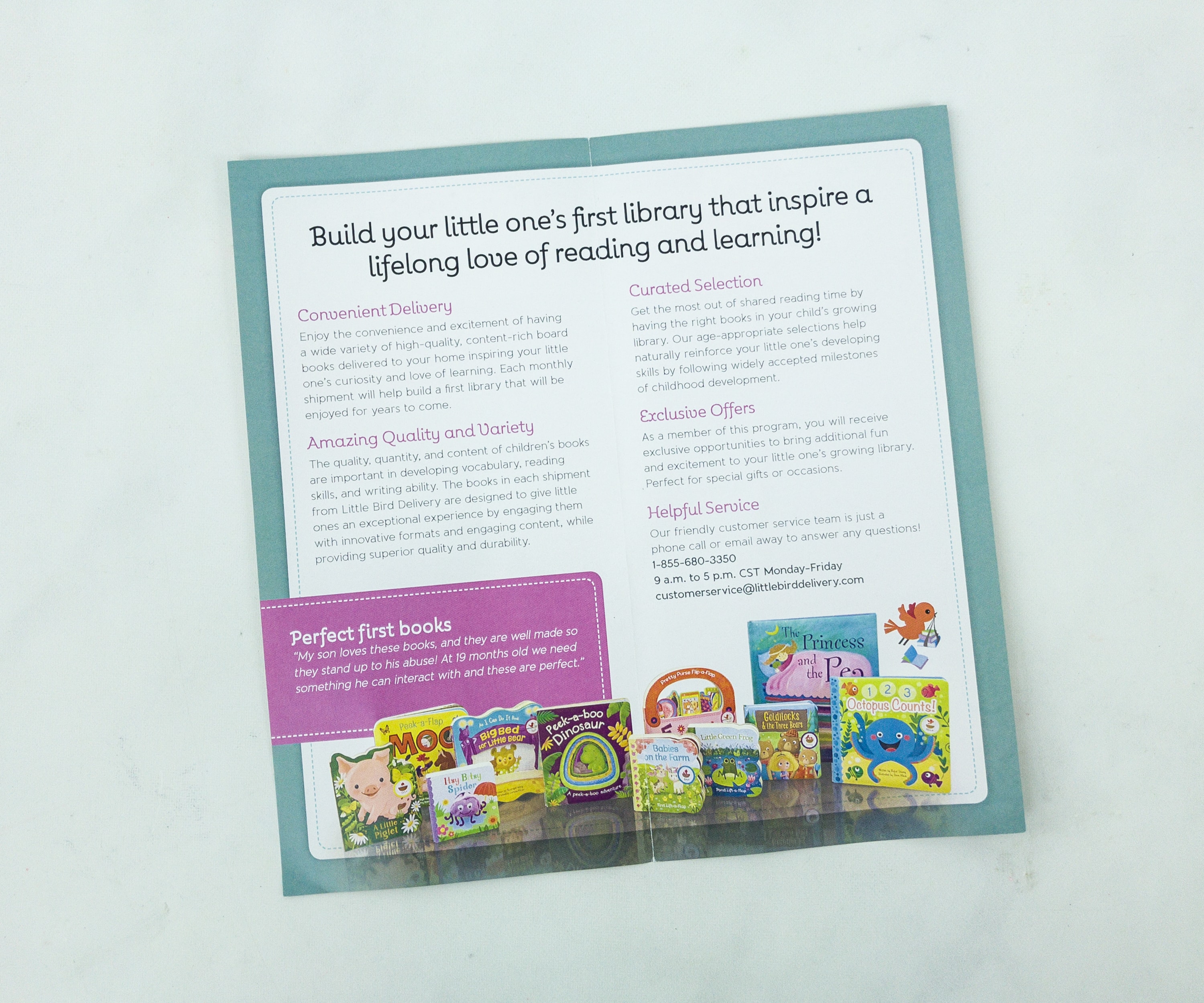 Little Bird Delivery March 2019 Subscription Box Review + Coupon