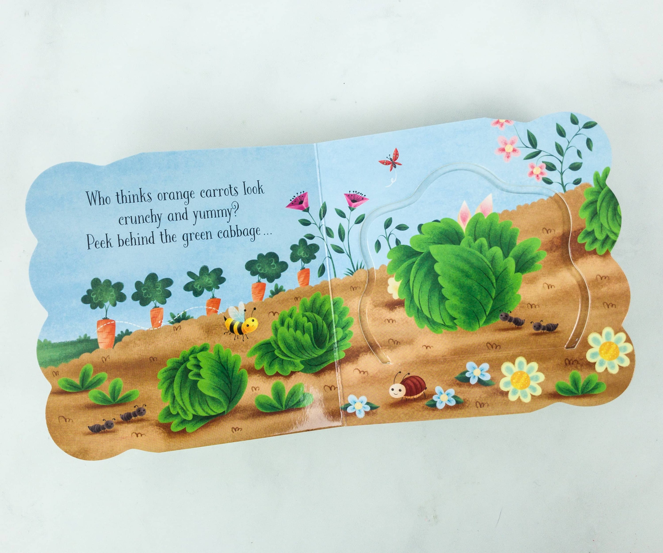 Little Bird Delivery March 2019 Subscription Box Review + Coupon