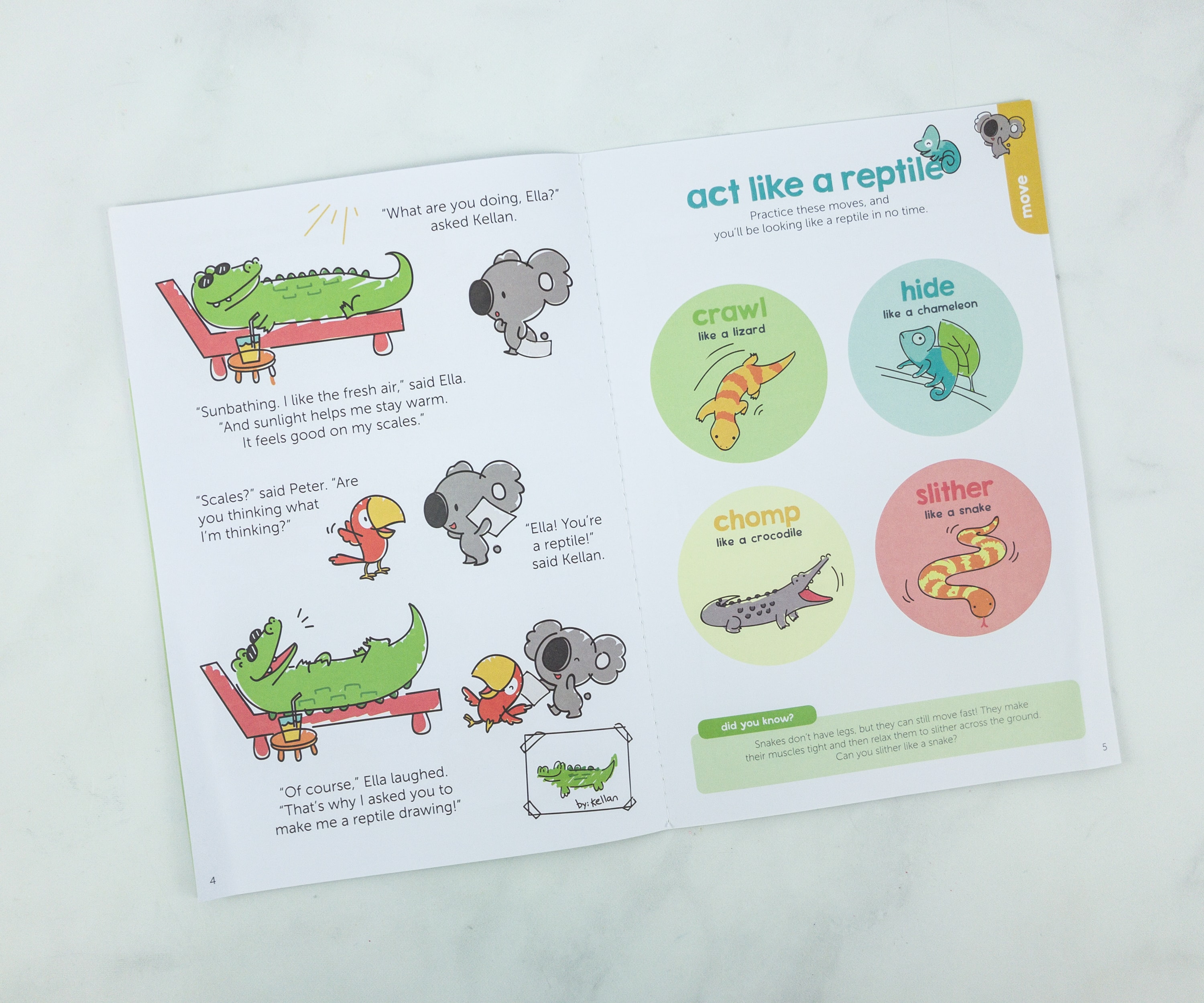 Koala Crate Subscription Box Review & Coupon REPTILES Hello