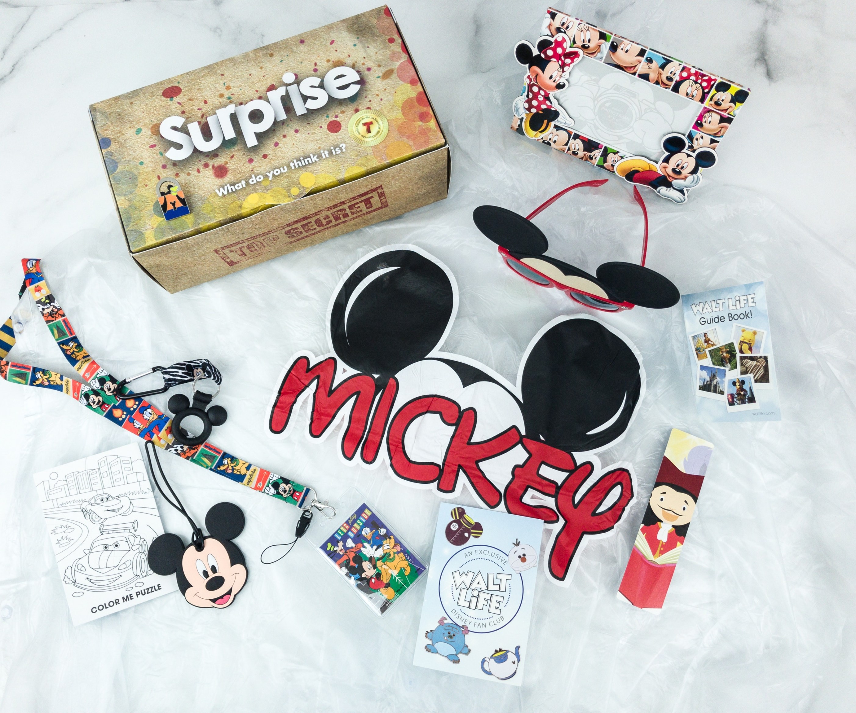 The 8 Best Disney Subscription Boxes of 2024 From Mickey Mouse to Star