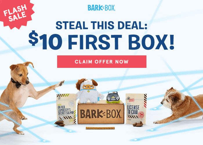 dog subscription box $10