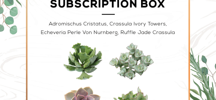 Succulents Box April 2019 Full Spoilers + Coupon!