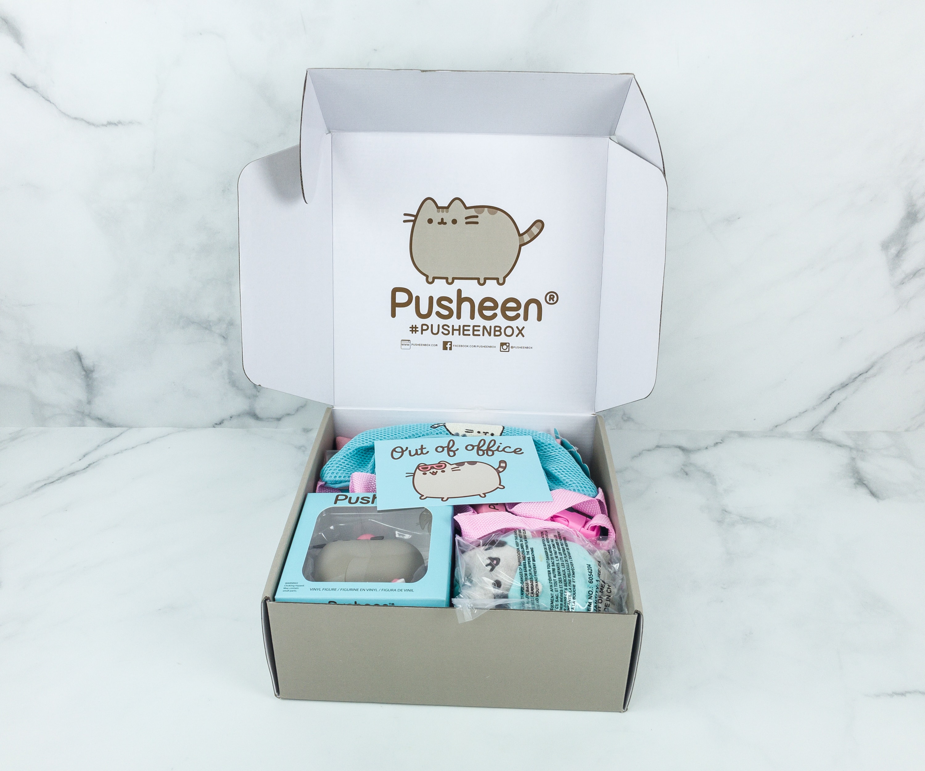 Pusheen Box Spring 2019 Subscription Box Review - Hello Subscription