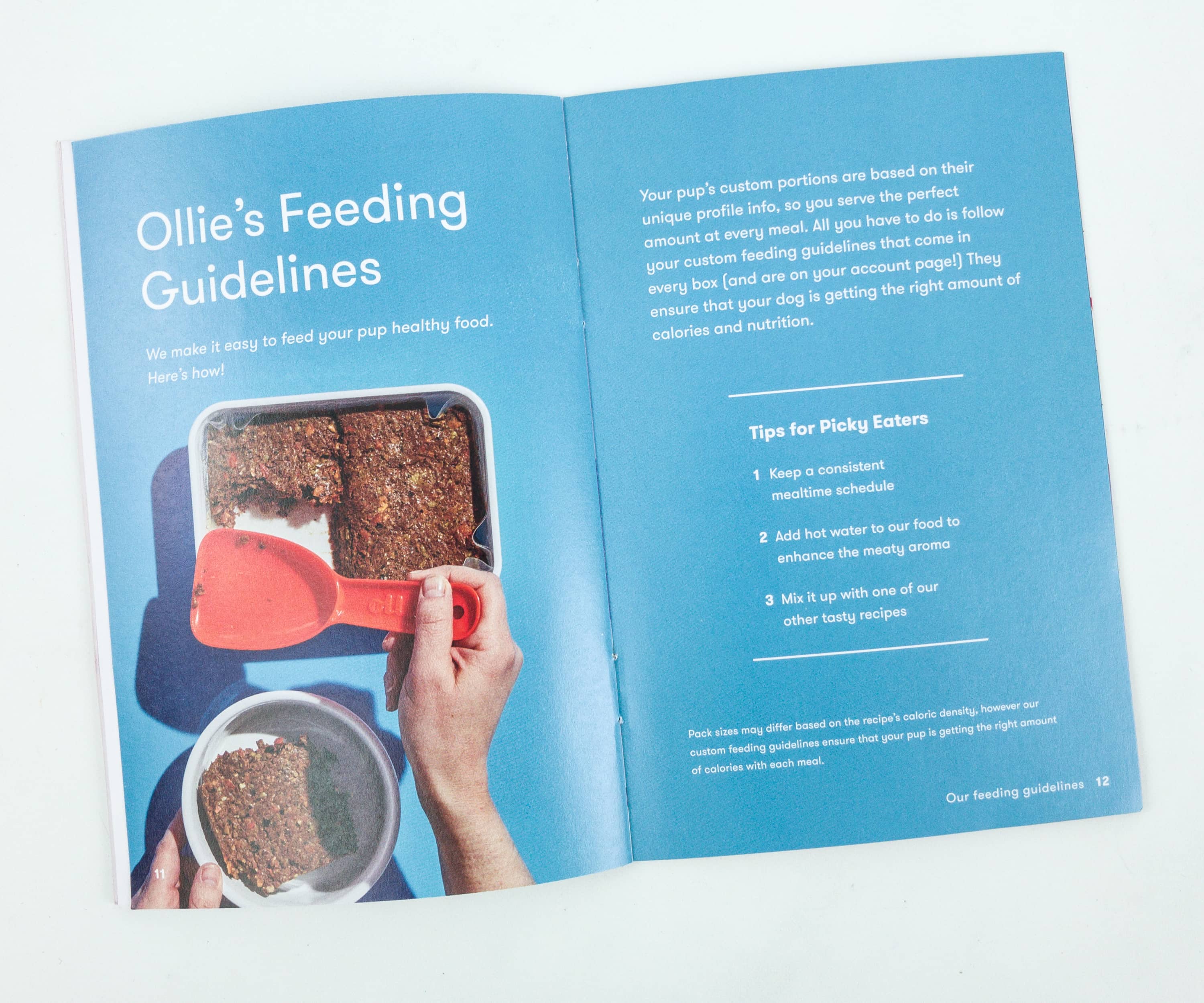 ollie feeding guidelines