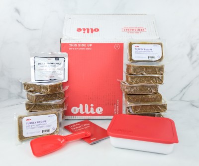 Ollie Subscription Box Review: Customized Dog Food For Your Beloved Pups!