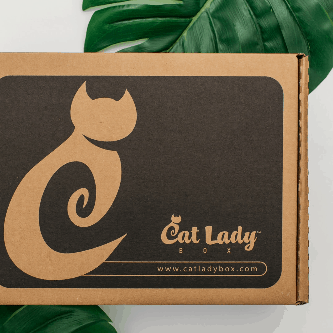 Cat Lady Box Memorial Day Coupon Get 15 Off First Box! Hello