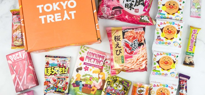 Tokyo Treat June 2019 Subscription Box Review + Coupon