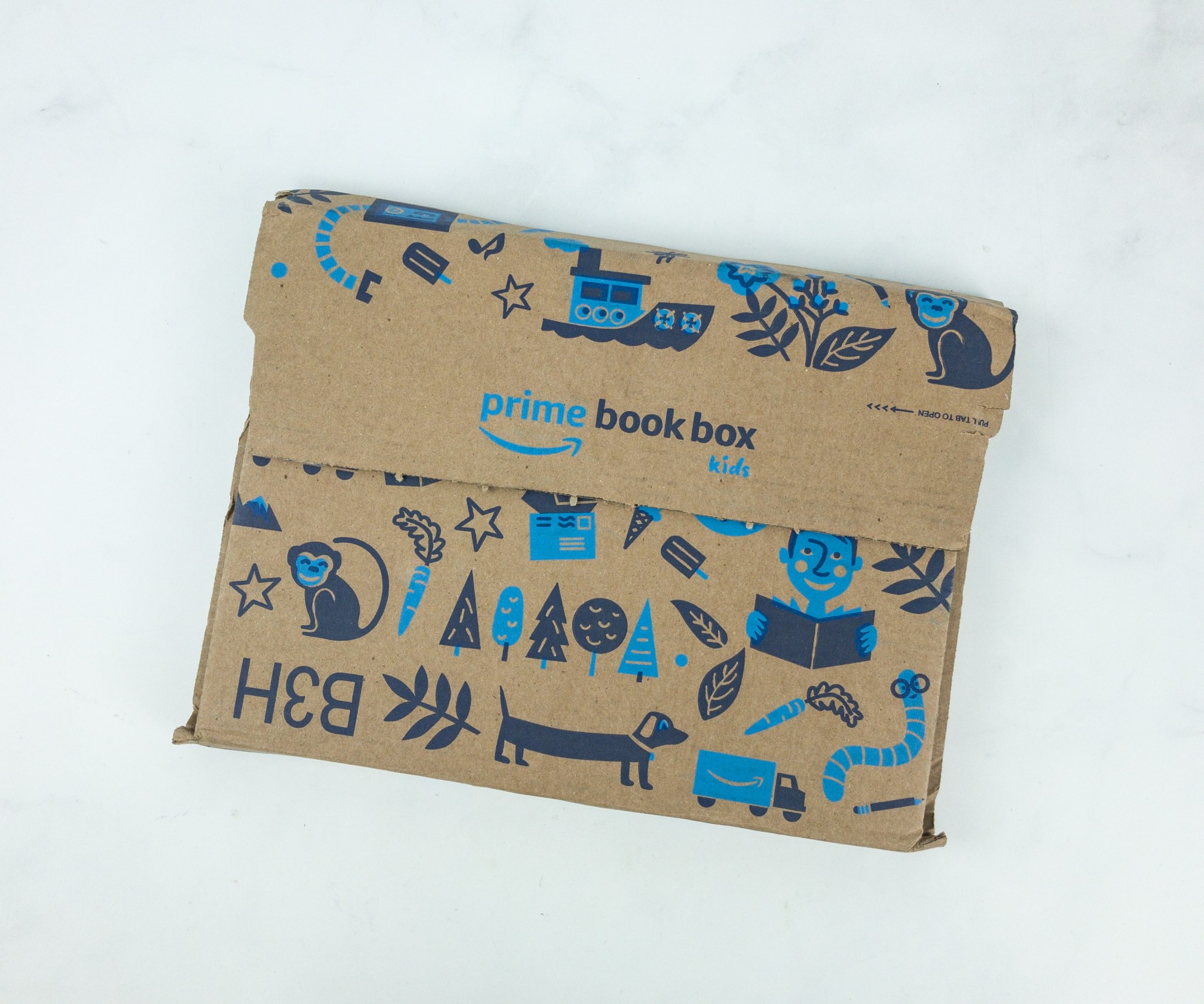 Amazon Book Box Kids May 2019 Subscription Box Review - AGE 3-5 - Hello ...