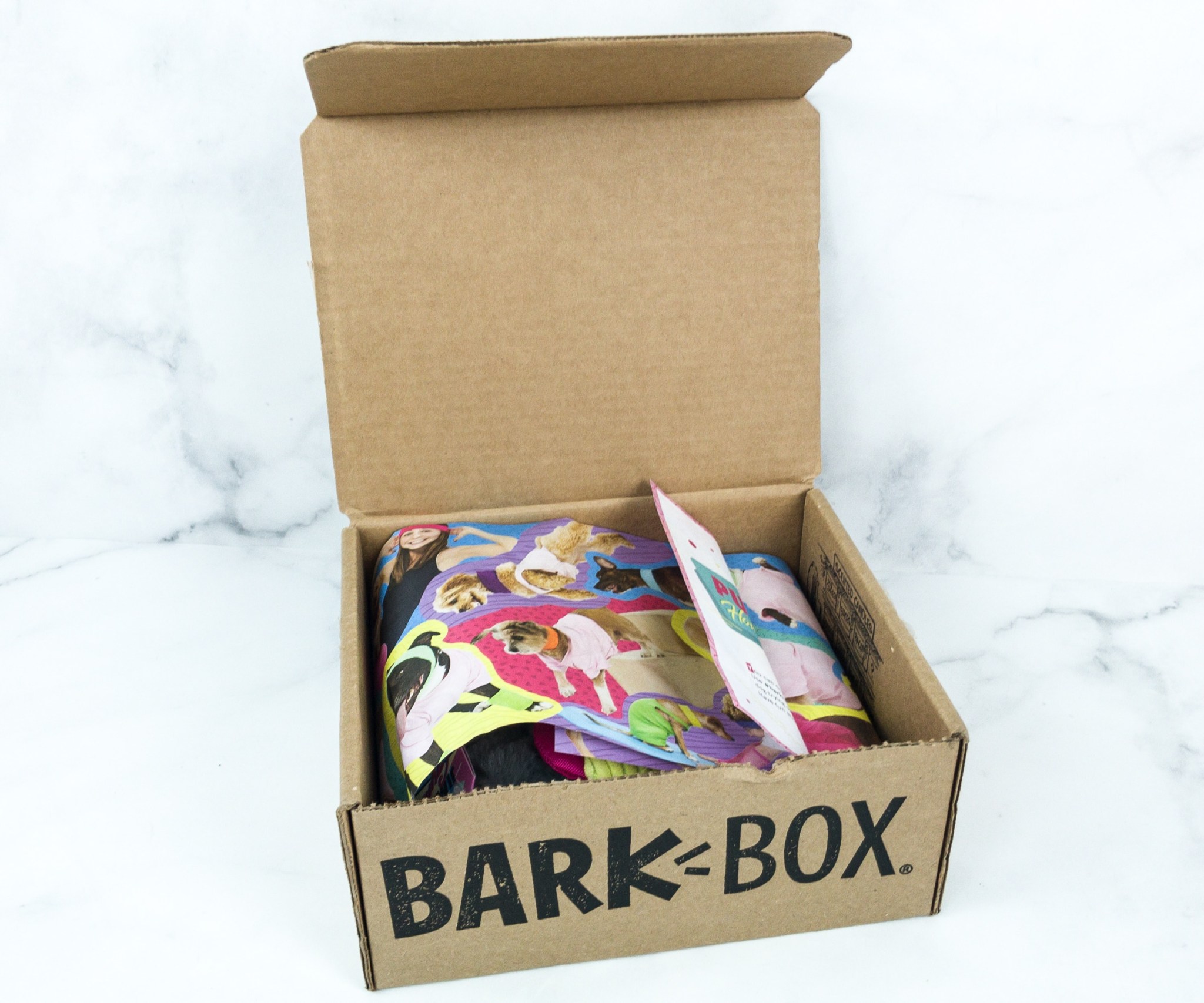 Barkbox June 2019 Subscription Box Review + Coupon Hello Subscription