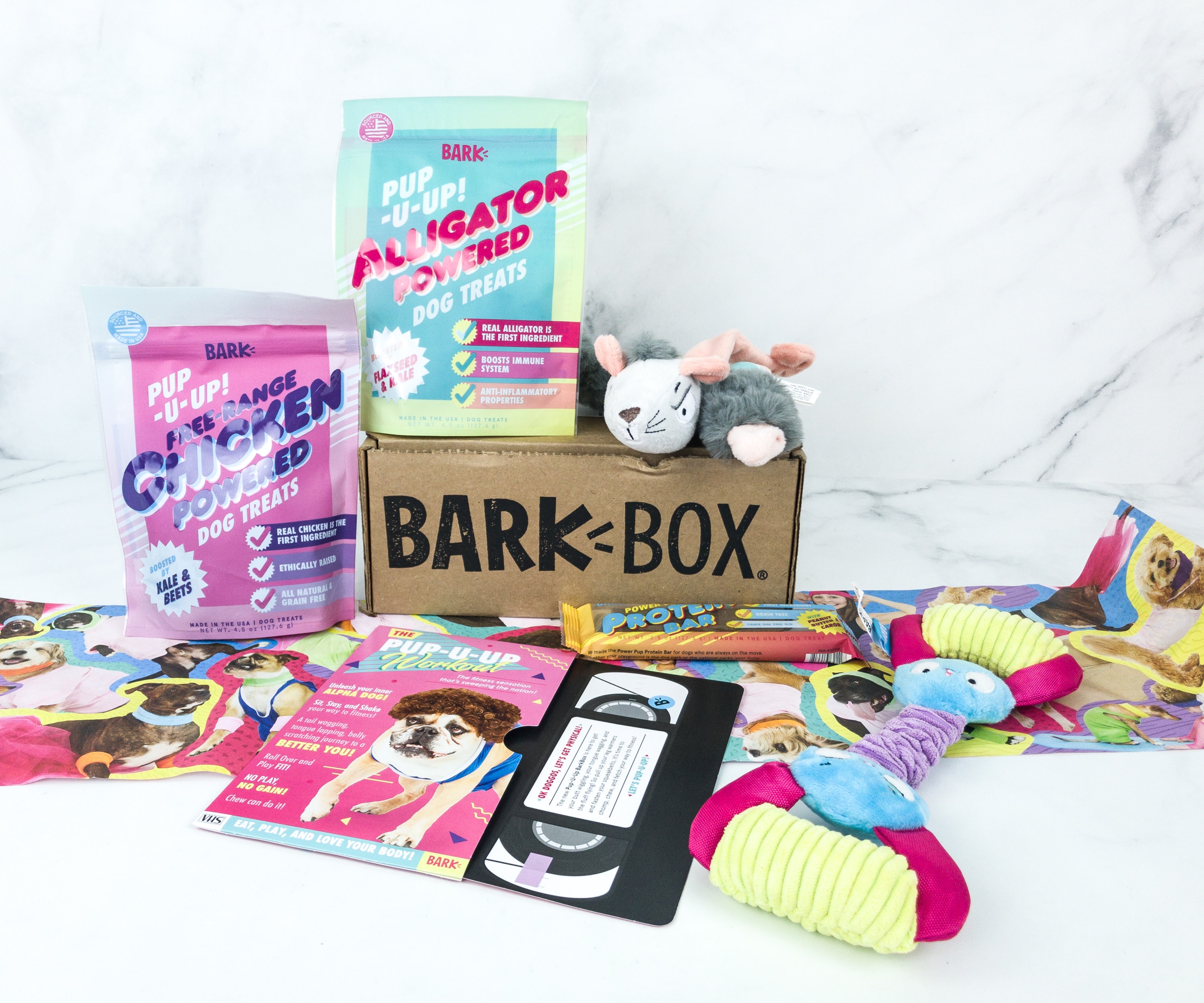 Barkbox June 2019 Subscription Box