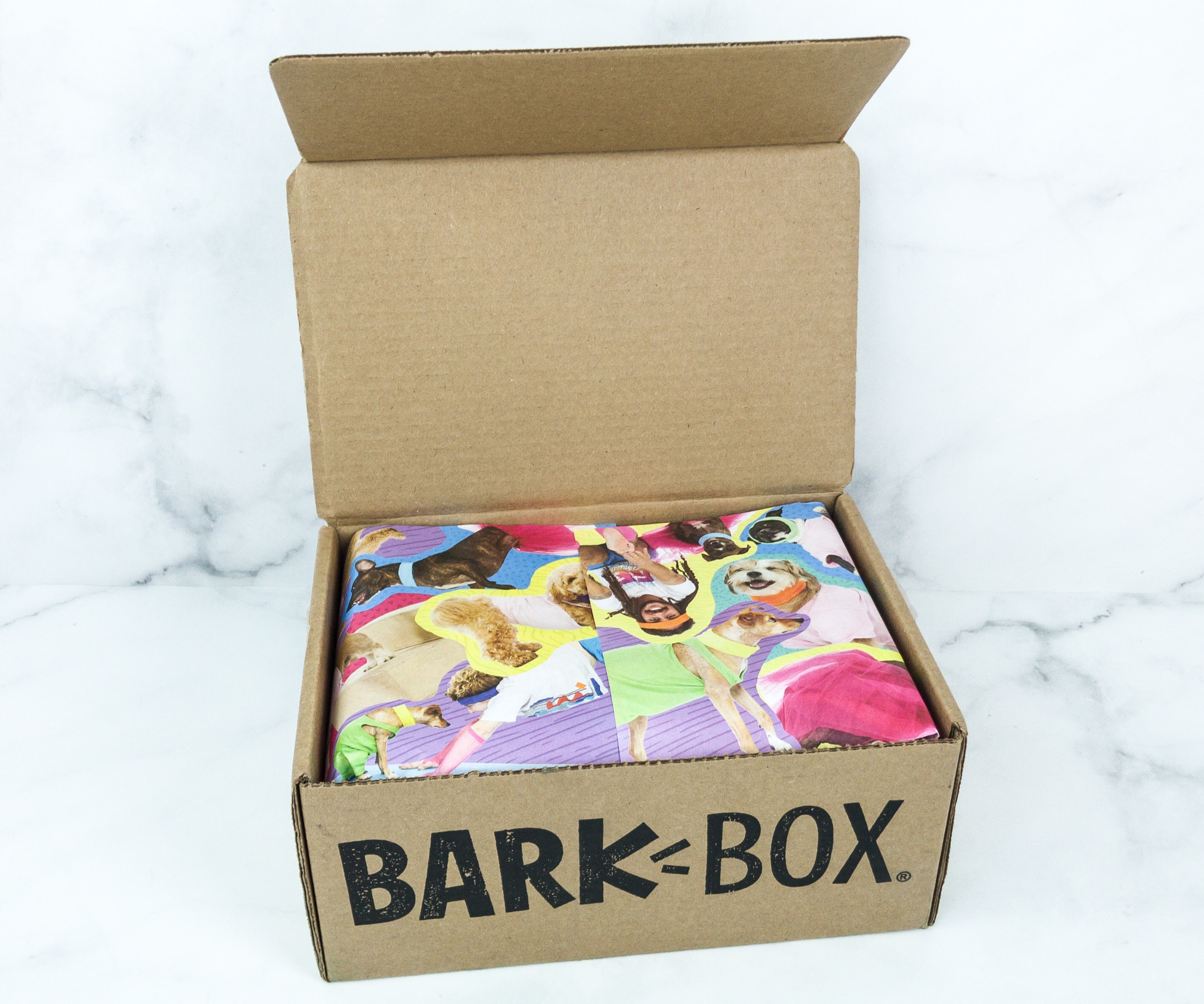 barkbox reviews medium dog