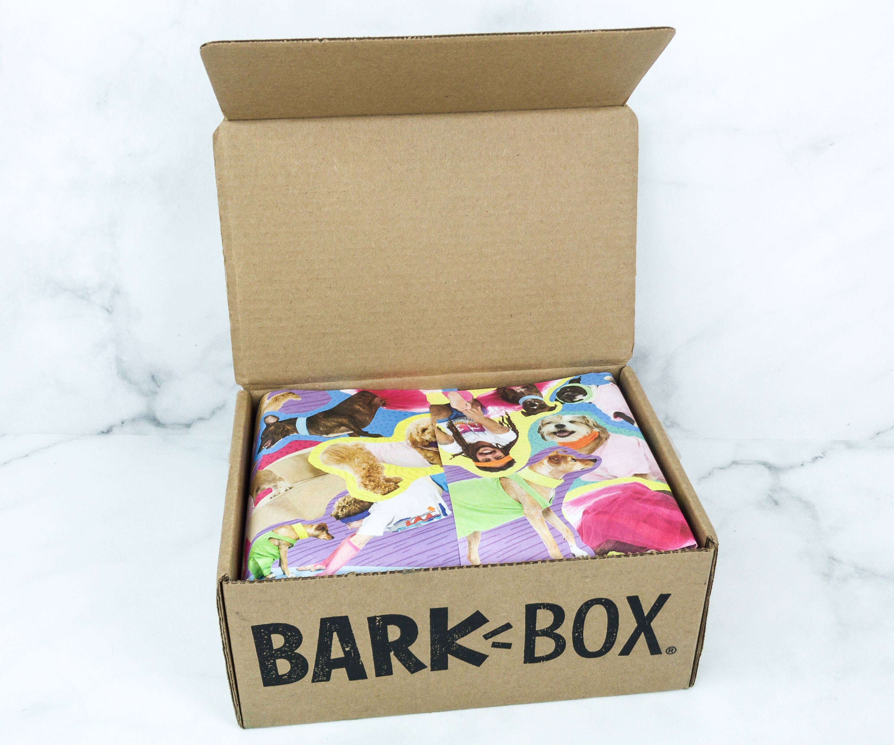 Barkbox June 2019 Subscription Box Review + Coupon Large Dog Hello