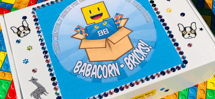 New Subscription Boxes:  Babacorn-Bricks Box Available Now + July 2019 Theme Spoilers!