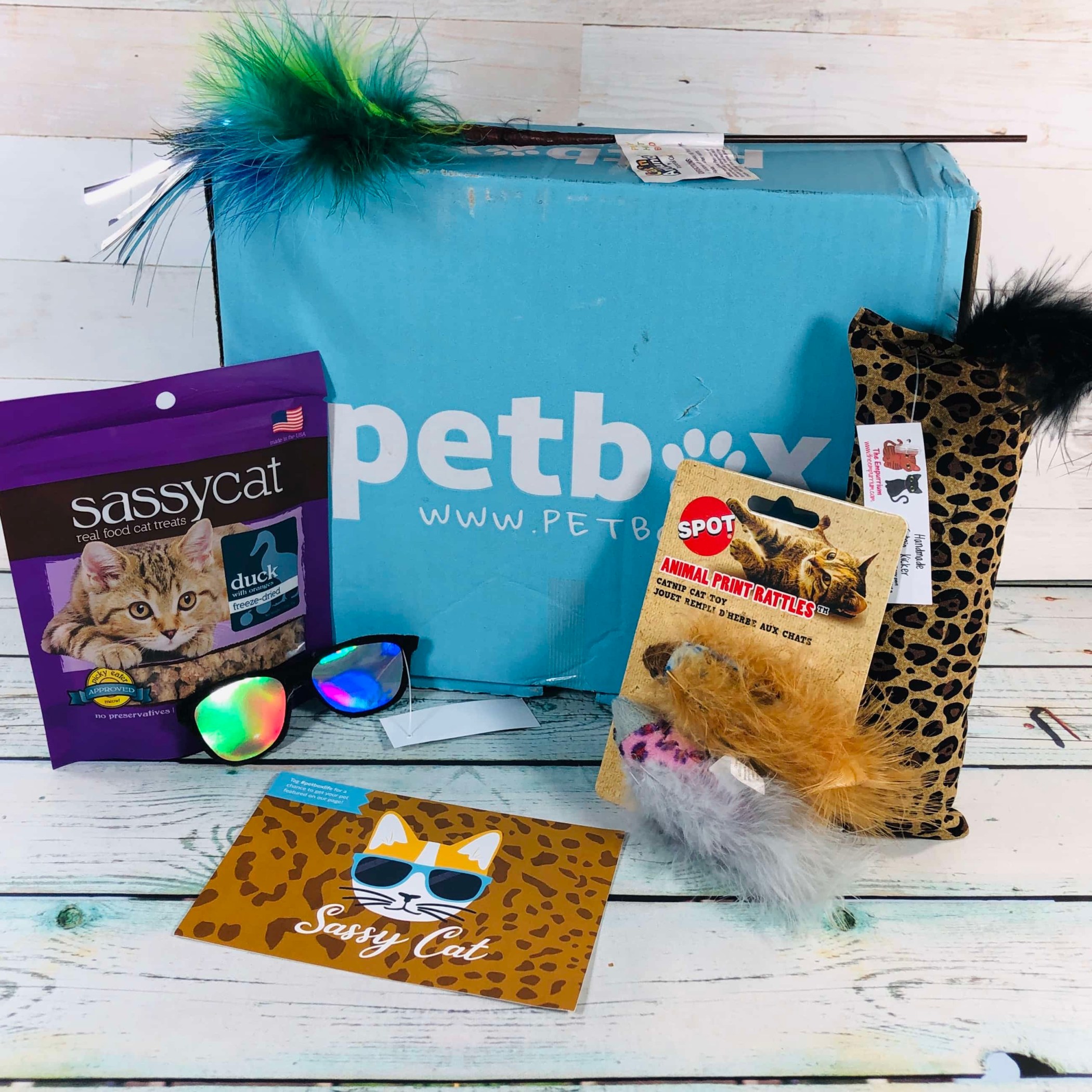 PetBox Reviews Get All The Details At Hello Subscription!