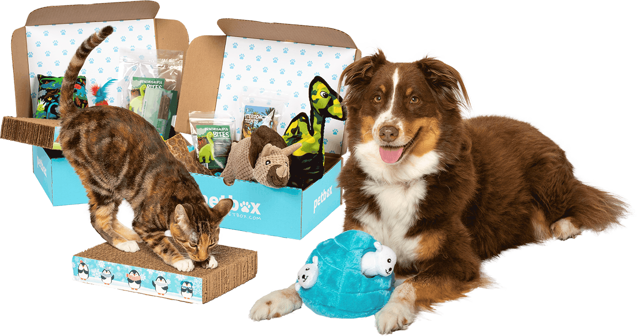 pet box coupon