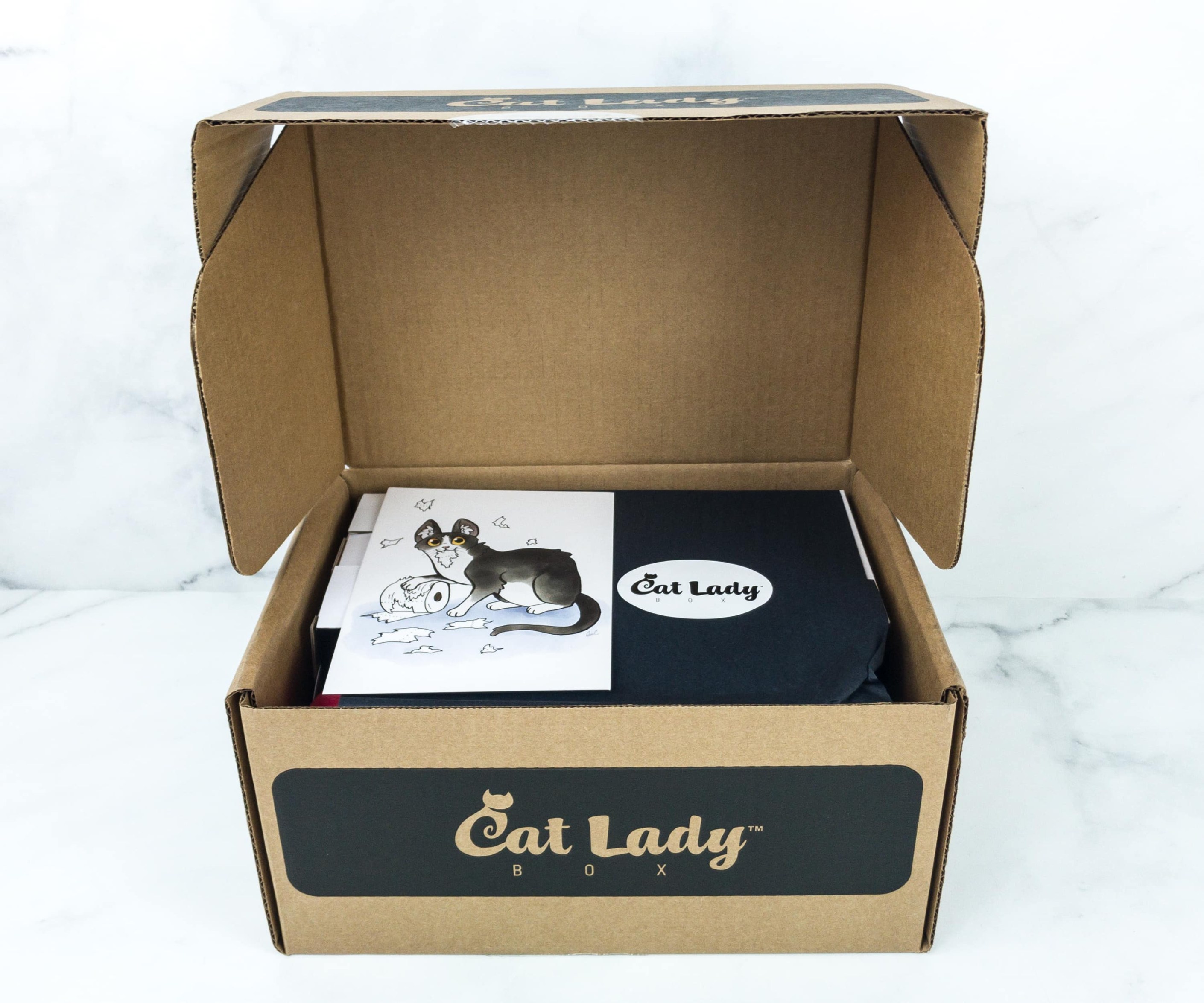 Cat Lady Box July 2019 Subscription Box Review + Coupon Hello