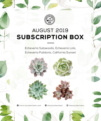Succulents Box August 2019 Full Spoilers + Coupon!