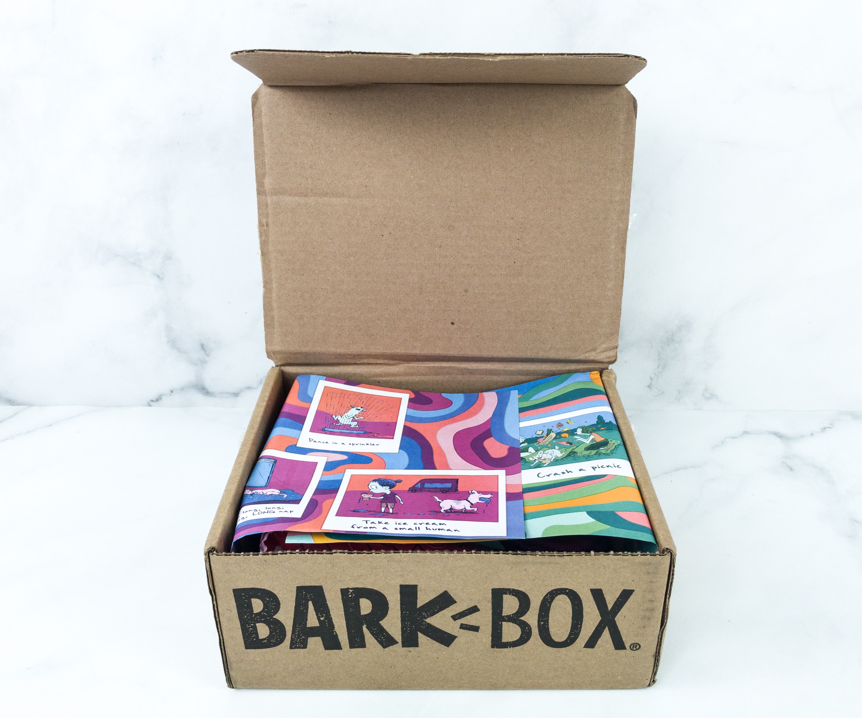 Barkbox August 2019 Subscription Box Review + Coupon Hello Subscription