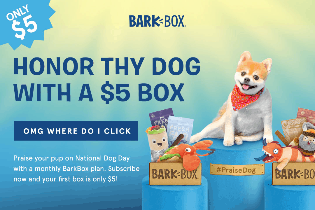 BarkBox National Dog Day Coupon: First 