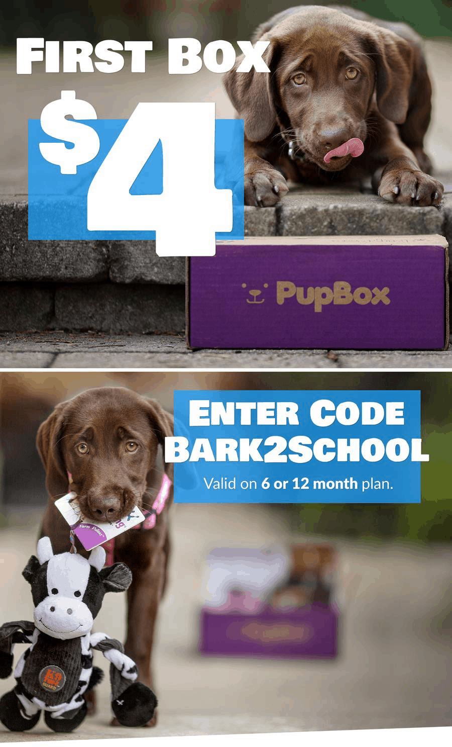 PupBox Back To School Sale Get Your First Box For Just 4! hello