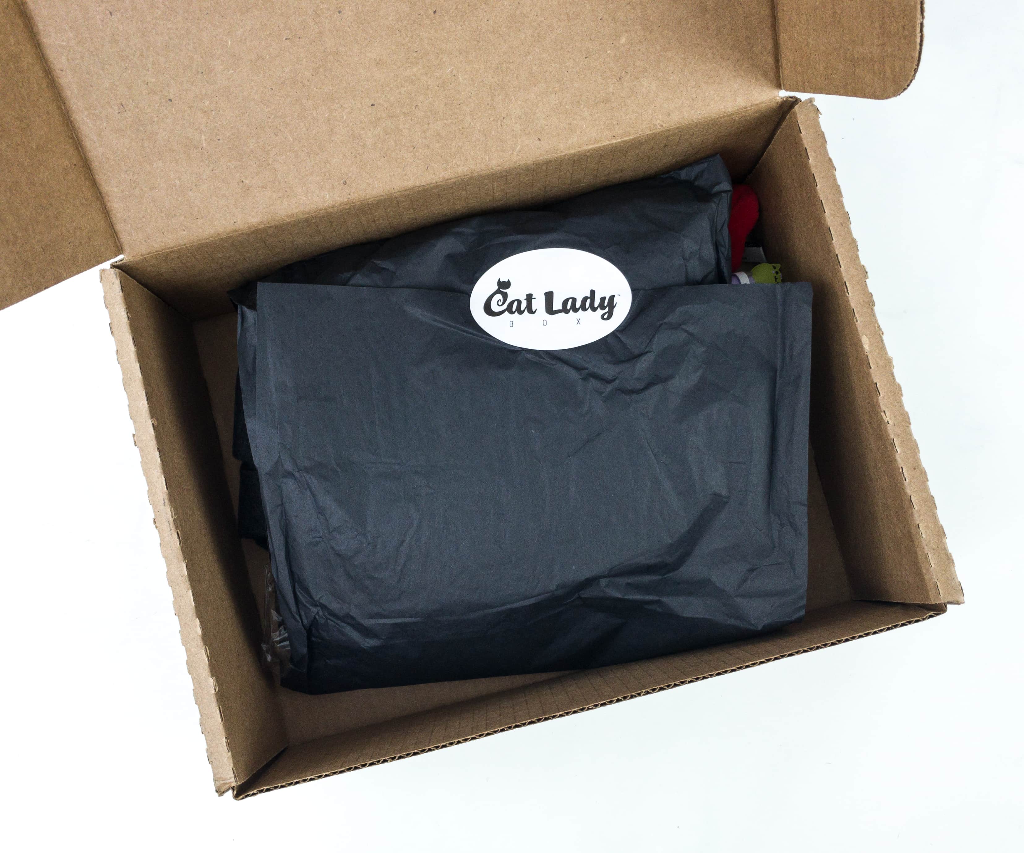Cat Lady Box September 19 Subscription Box Review Hello Subscription