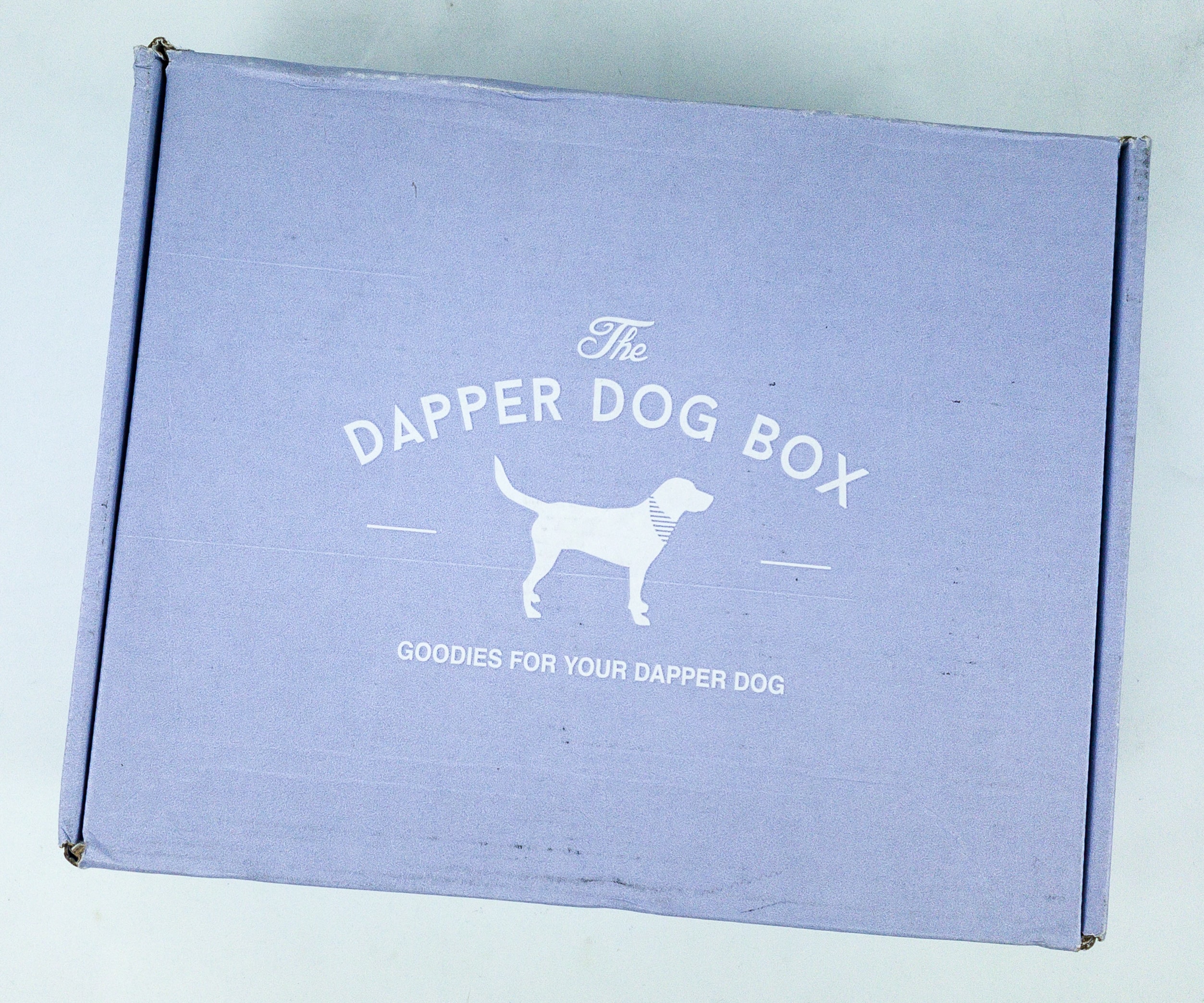 Dog shop box companies