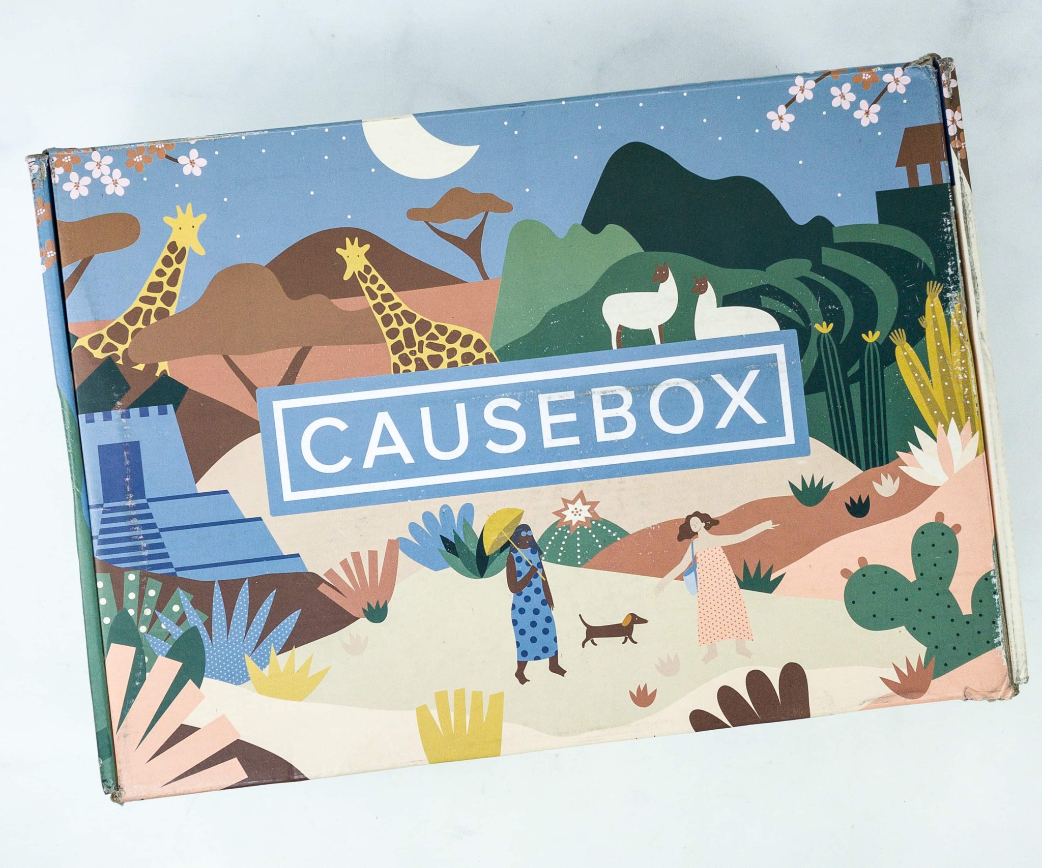 CAUSEBOX Fall 2019 Subscription Box Review + Coupon Hello Subscription