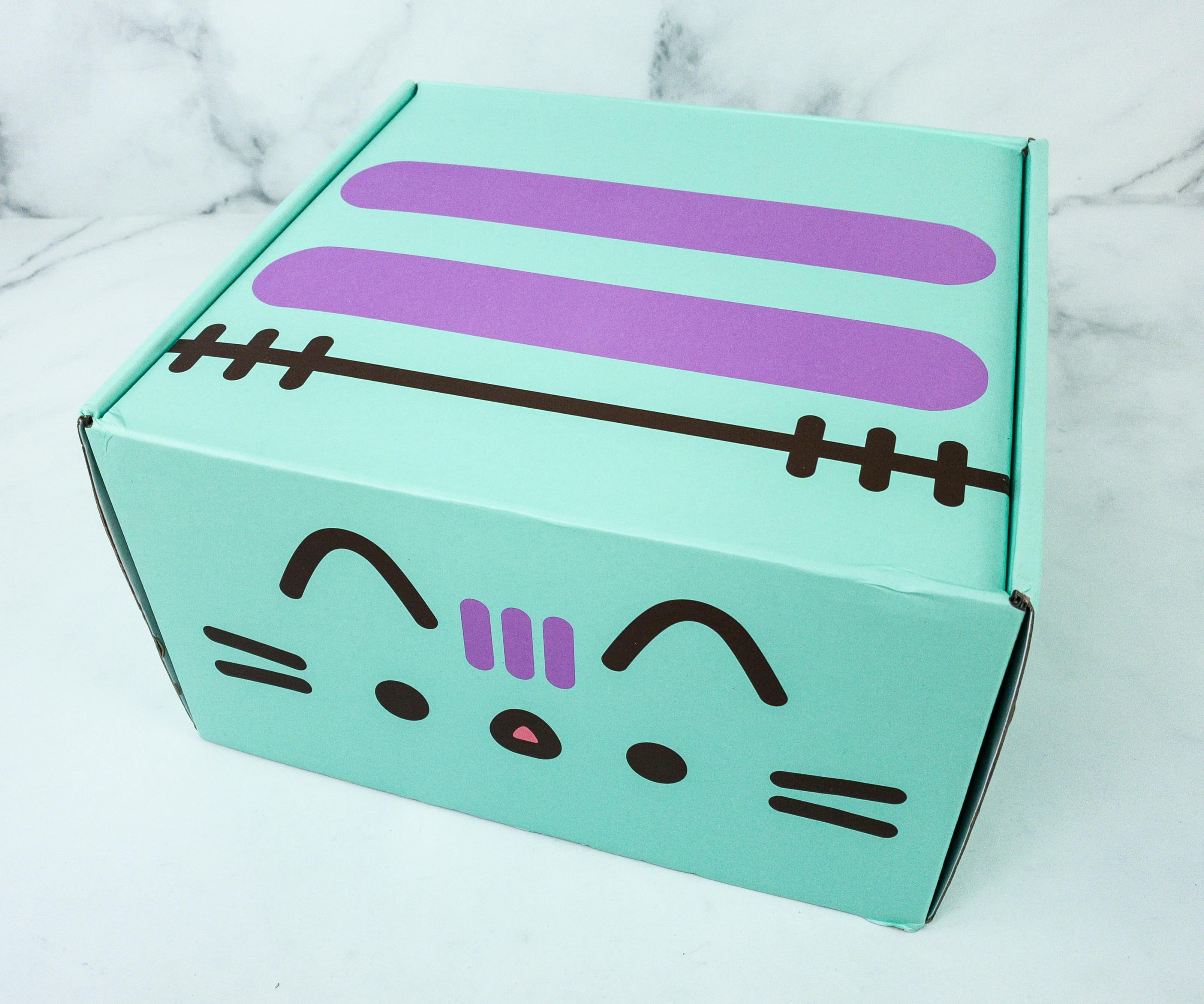 pusheen winter box 2021