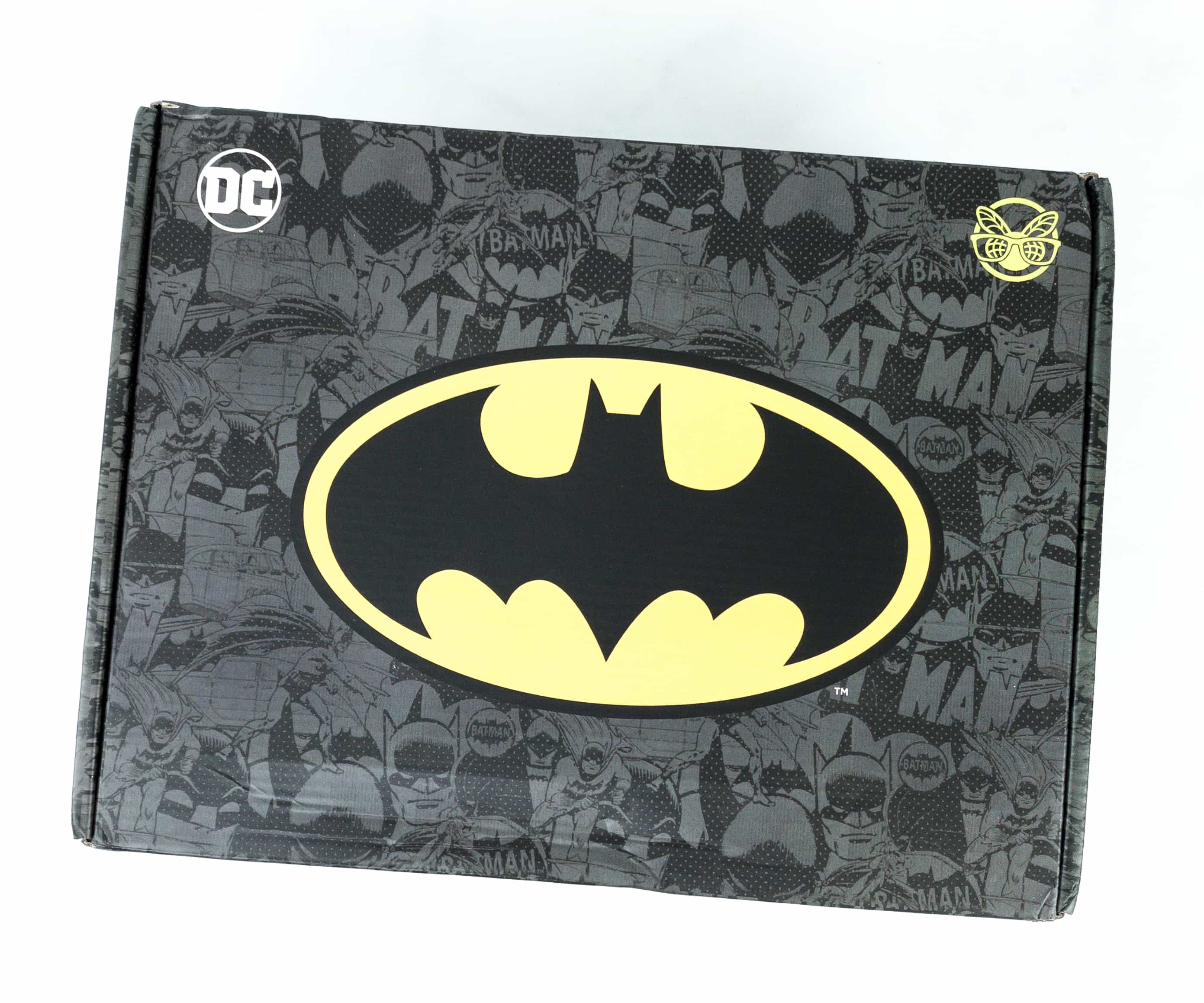 DC Comics World's Finest: The Collection Fall 2019 Box Review - BATMAN 80TH  ANNIVERSARY - Hello Subscription