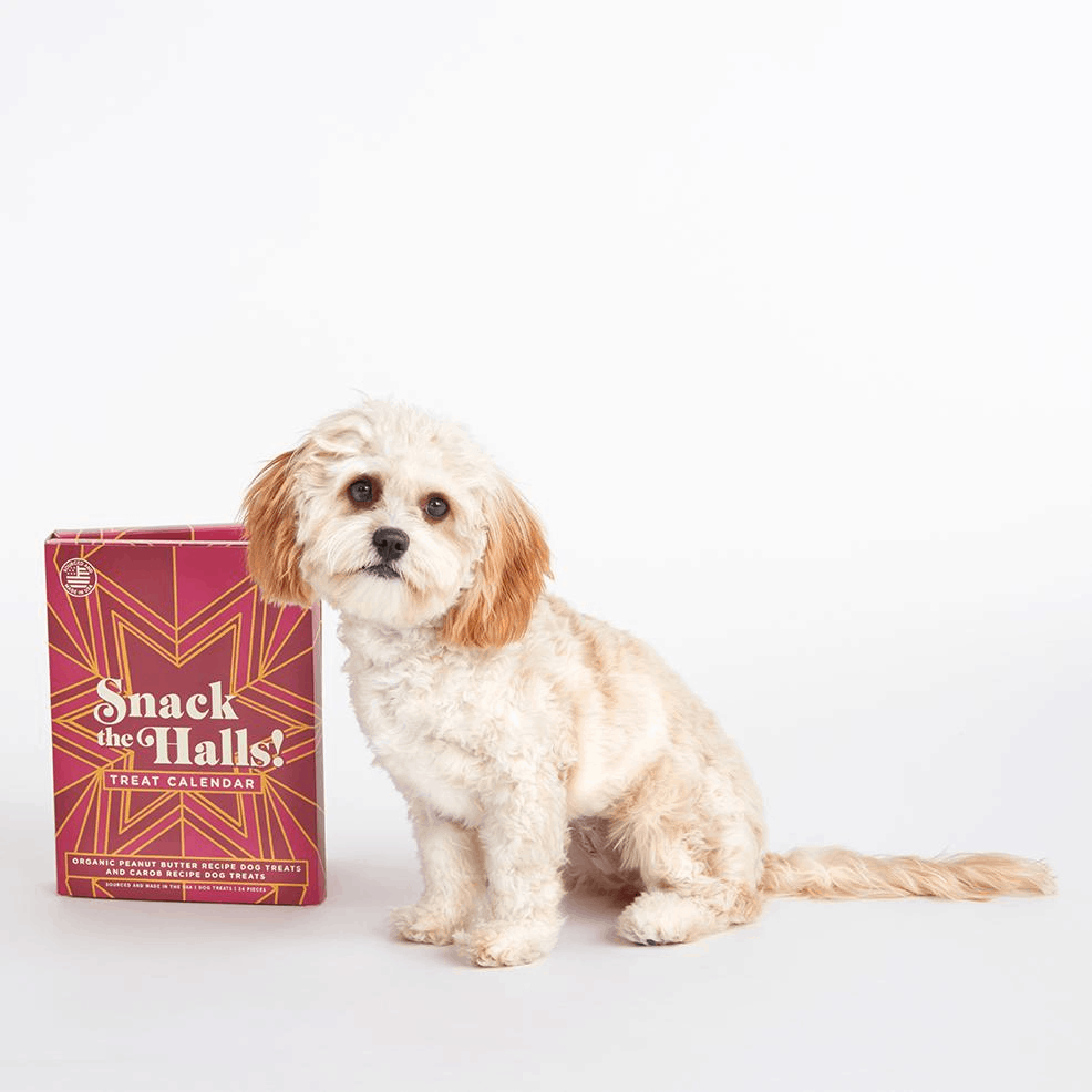 2019 BarkBox Dog Treat Advent Calendar Available Now! Hello Subscription