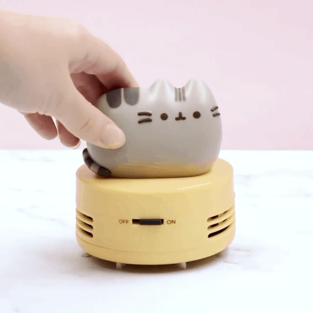 pusheen 2020 winter box