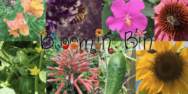 Bloomin’ Bin Cyber Monday Deal: Save 30% on Gardening Subscription Box for Cyber Monday!