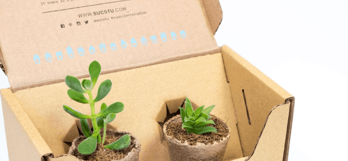 Succulent Studios Cyber Monday Deal: Save 61% on your first box!