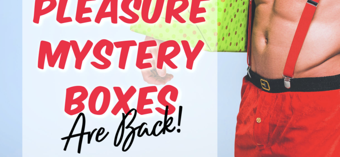 Bawdy Bookworms Cyber Monday Deal: Pleasure Mystery boxes are back ONE DAY ONLY! {NSFW}