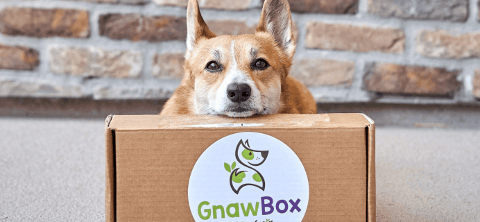 Gnaw Box – Review? Dog Chew Subscription + 50% Off Coupon!