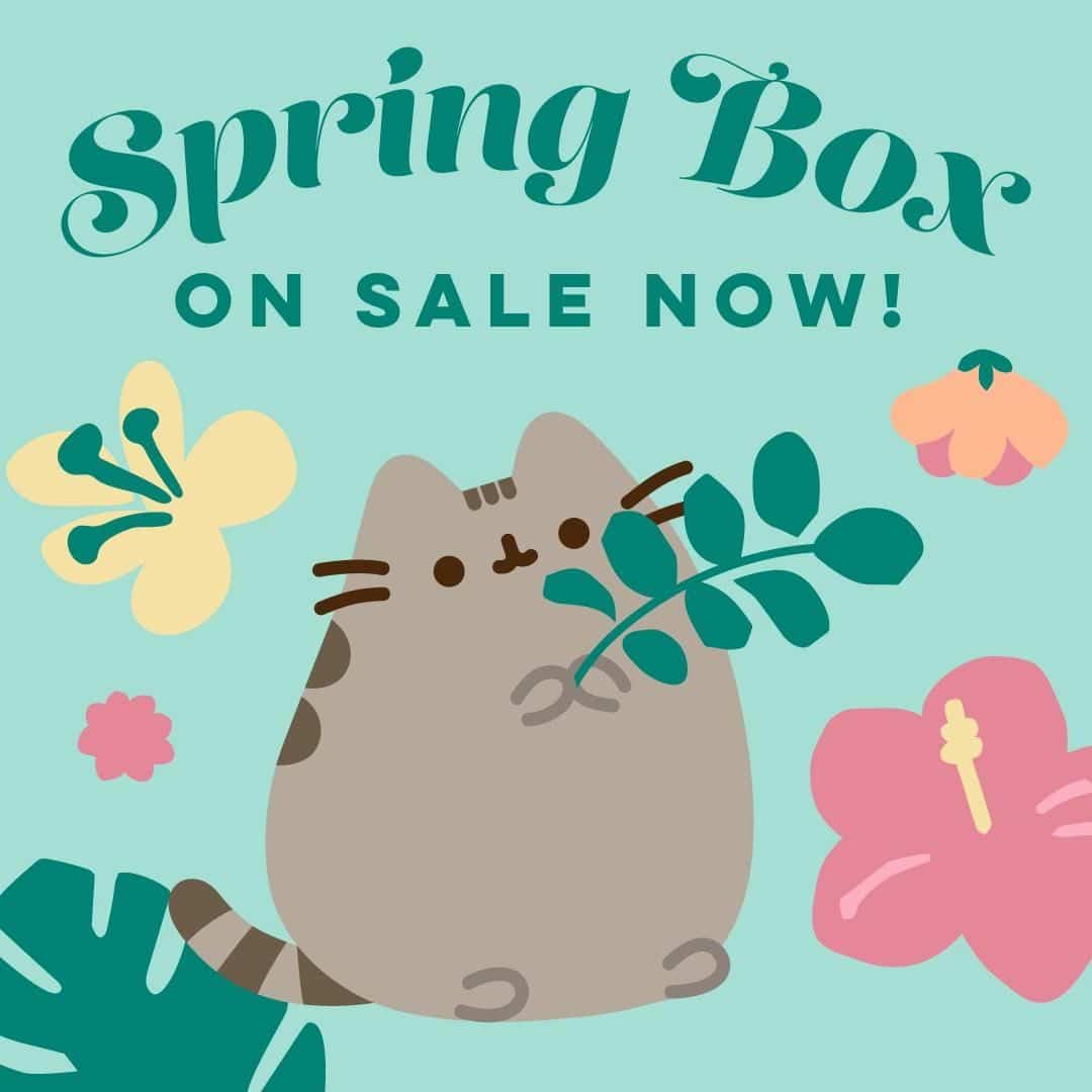 Pusheen Box Spring 2020 Theme Spoilers! Hello Subscription