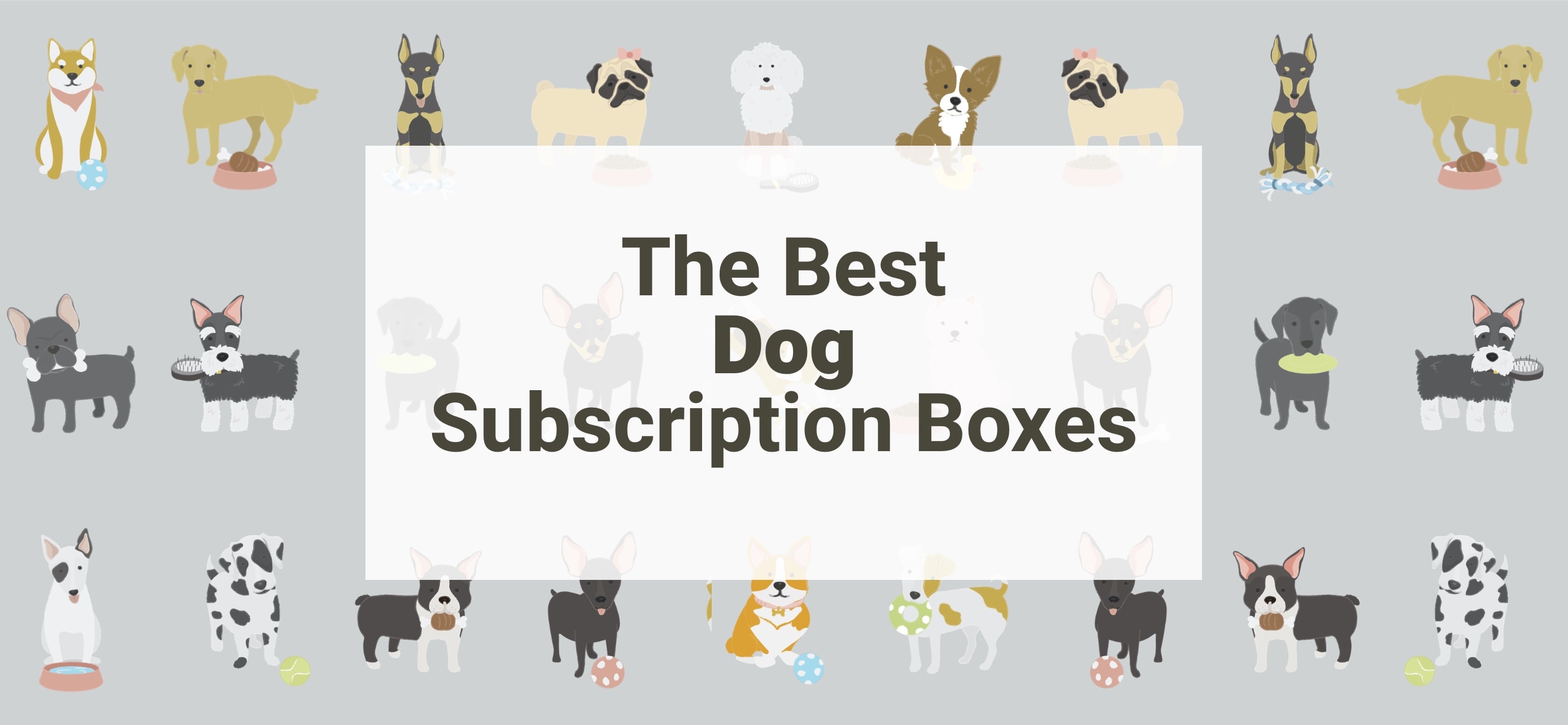 Best Dogs Subscription Boxes 2022 Award Winners Hello Subscription