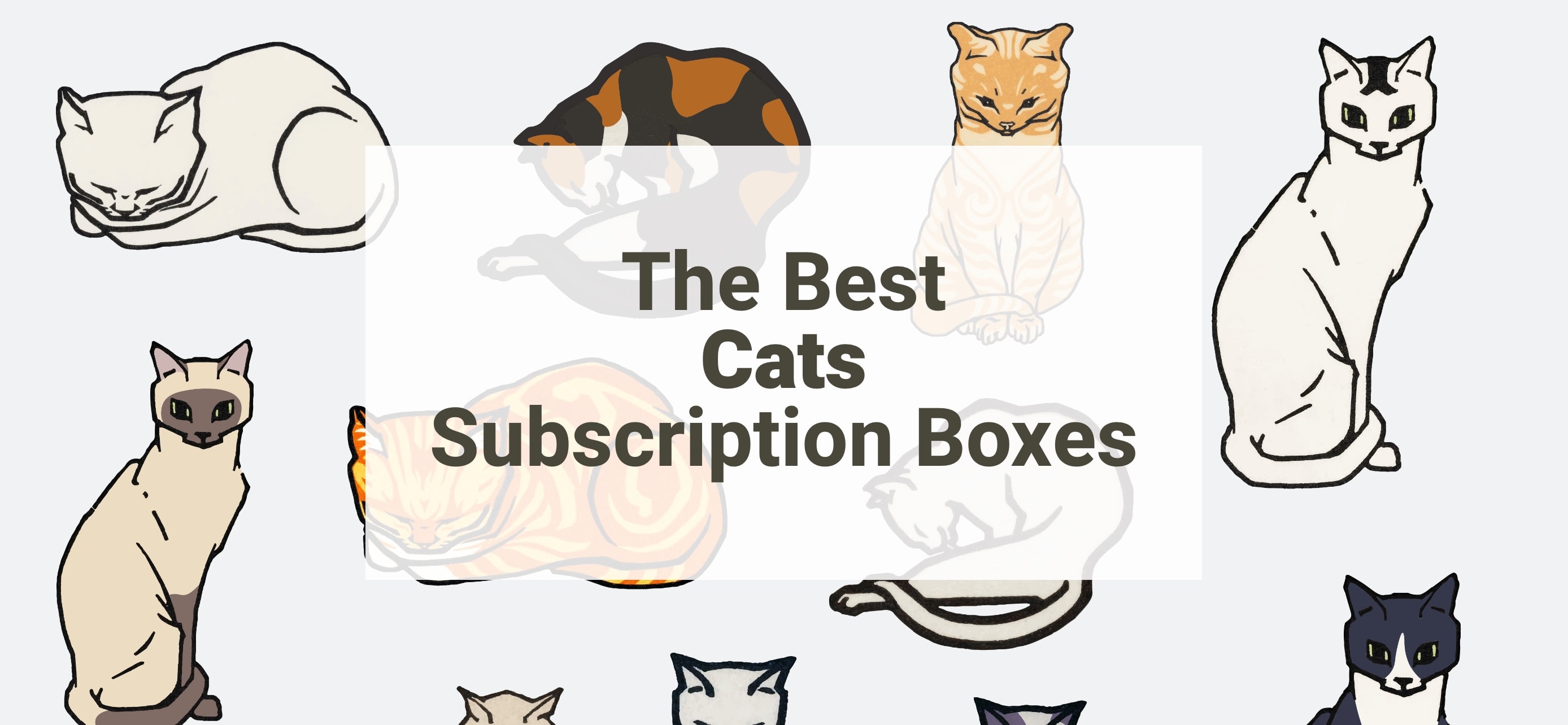 best cat subscription box