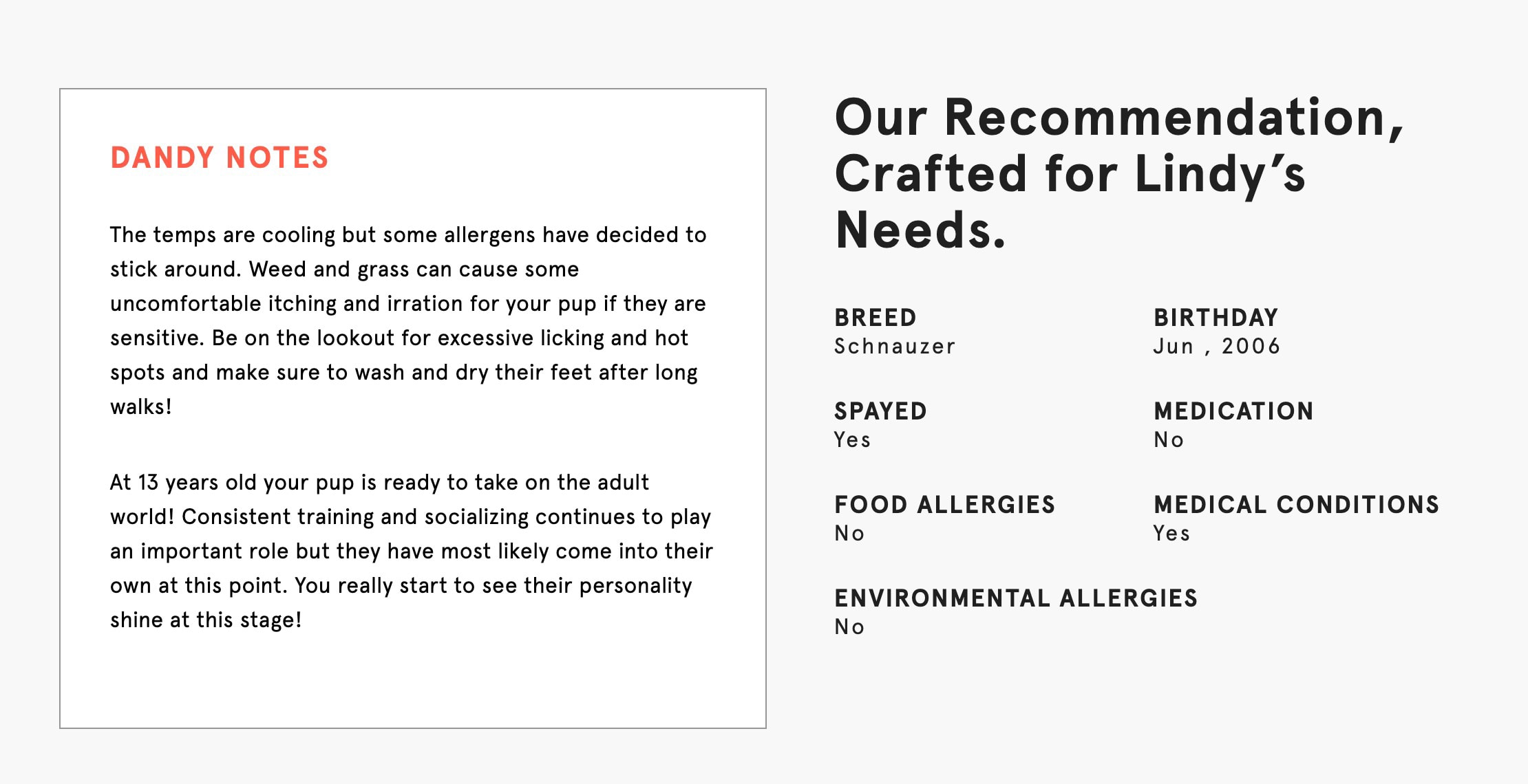 Dandy Dog Supplements Subscription Review + Coupon Hello Subscription