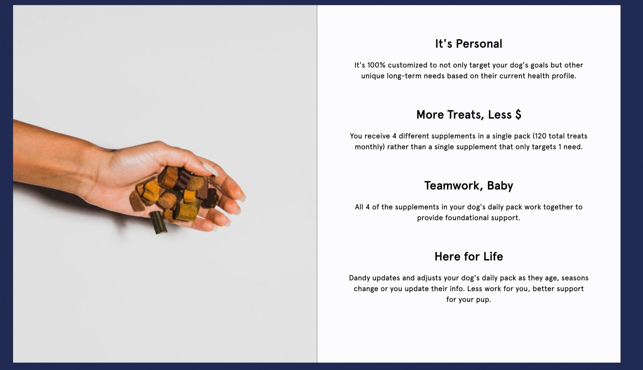 Dandy Dog Supplements Subscription Review + Coupon Hello Subscription