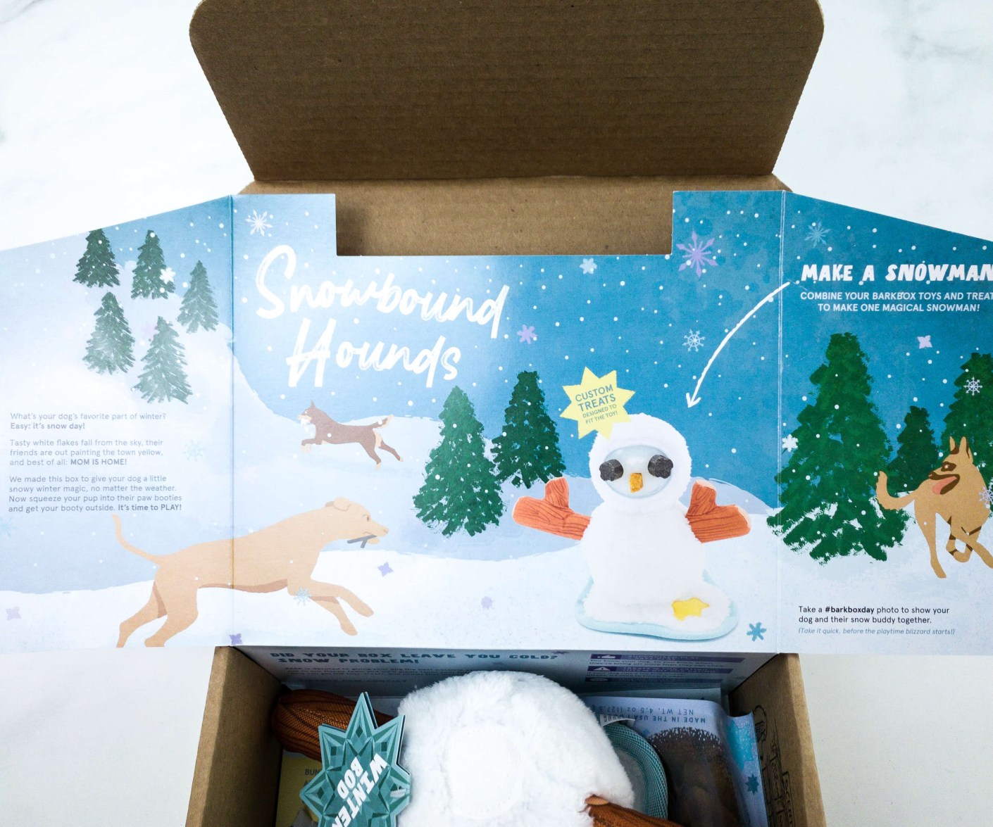 Barkbox January 2020 Subscription Box Review + Coupon Hello Subscription