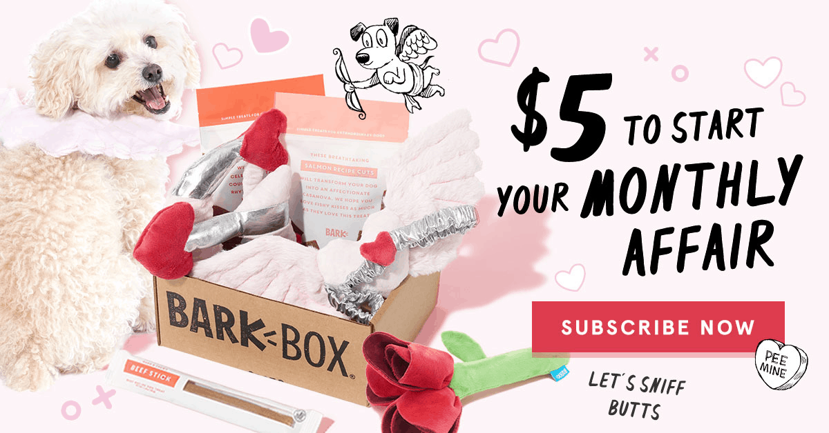 BarkBox Valentine's Day Sale First Box 5! Hello Subscription
