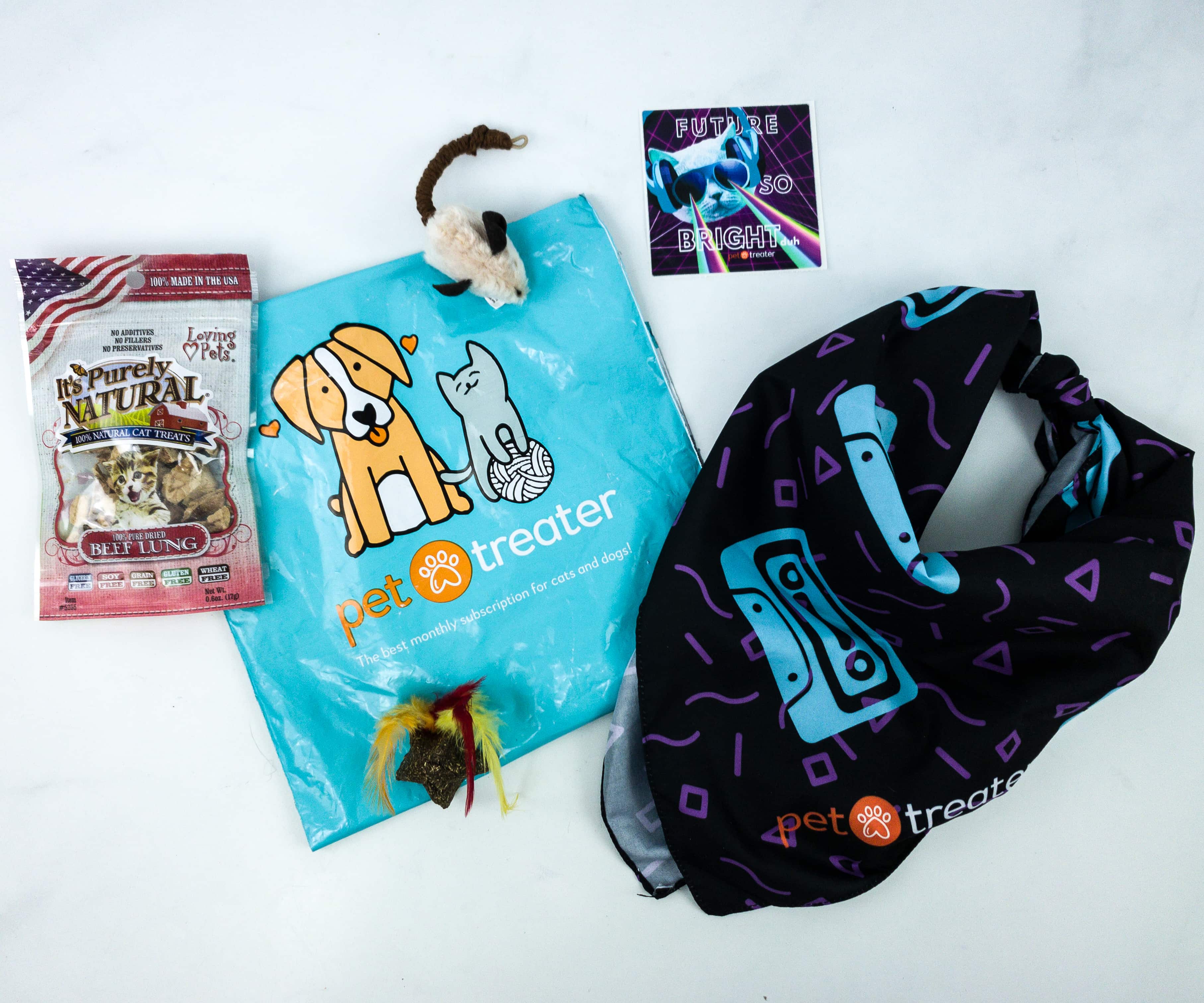Pet Treater Cat Pack January 2020 Subscription Box Review + Coupon