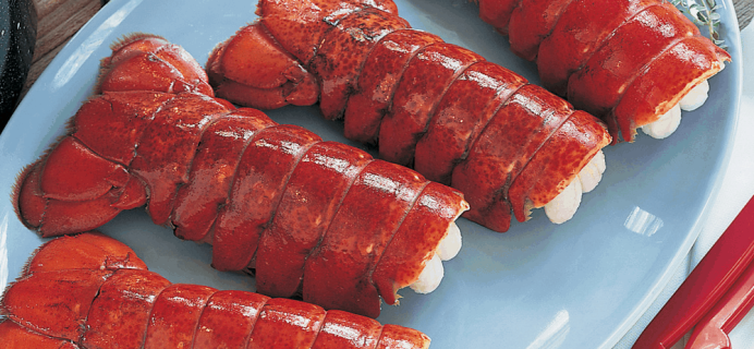 Amazing Clubs Lobster of the Month Club – Review? Premium Lobster Subscription!